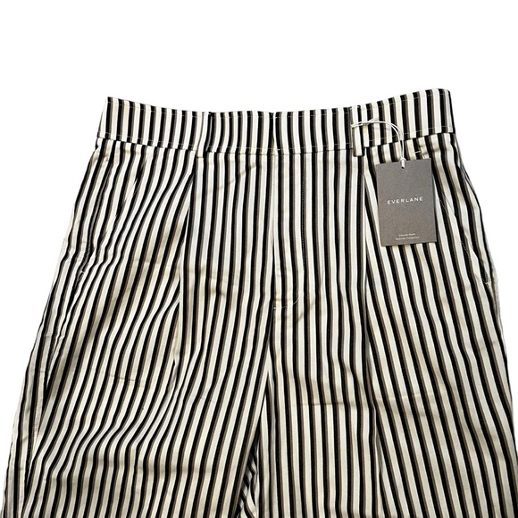 NWT, Everlane The TENCEL Way-High Taper Pant Ombre Stripe, Sz 14 - Picture 11 of 15